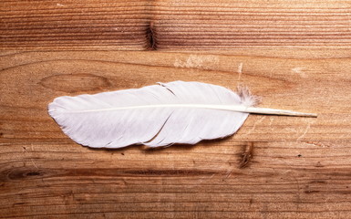 white feather wooden