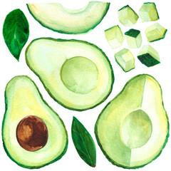 Watercolor illustration of avocado set of sliced, diced and opened fruit painted