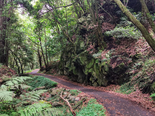 La Galga, Isla de La Palma
