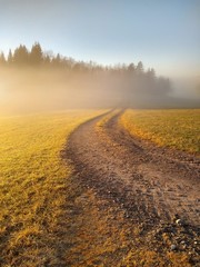 Road in Norwegian rural area in fog and sunlight