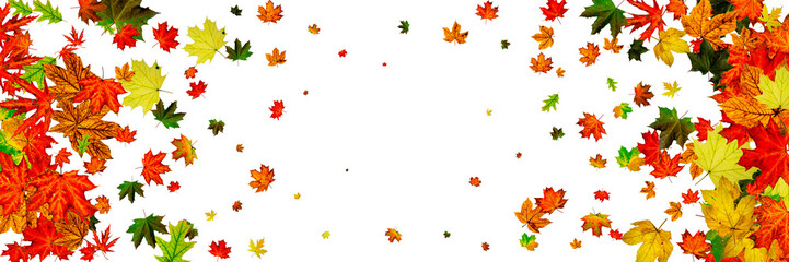 Obraz premium Autumn leaves white background. Falling November pattern. Thanksgiving season concept