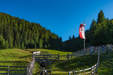 alpine pasture with tyrolean flag