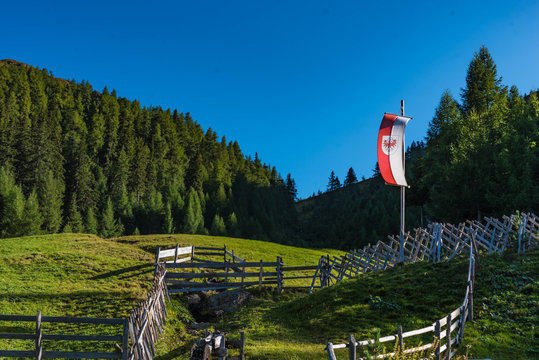 alpine pasture with tyrolean flag