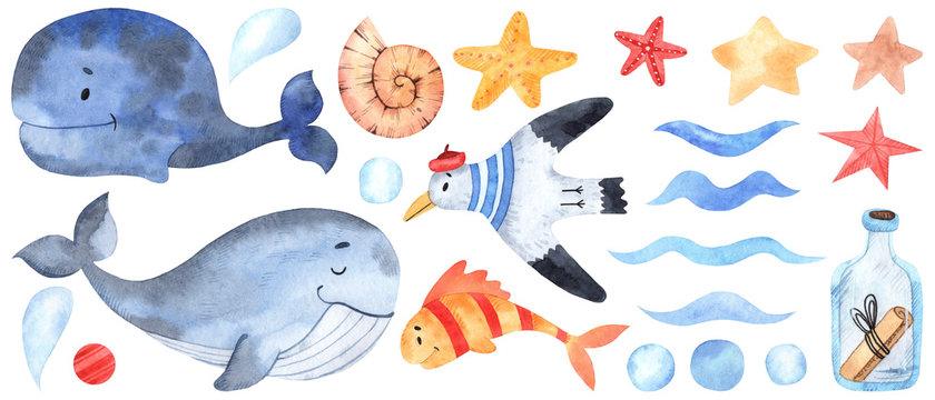 Watercolor marine elements for design and decoration. Great for postcards, posters, coupons, baby items design, decorative paper and any design.