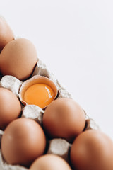 eggs protein yolk easter shell tray mockup