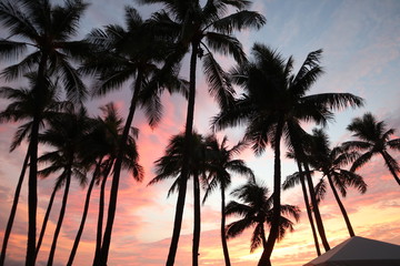 Obraz premium tropical sunset on the beach