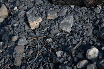 Burned ground, all black an grey