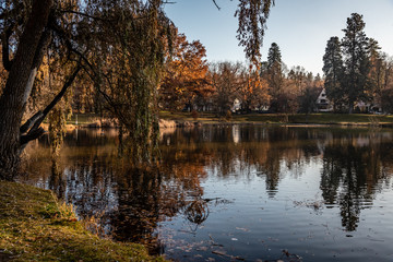 Fototapeta na wymiar Duck Pond At Cannon Hill Park In November