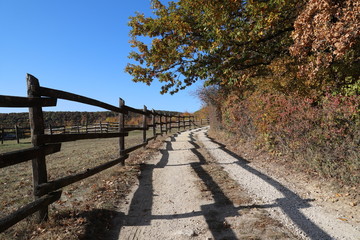 Autumnal colours at rural animal farm countryside