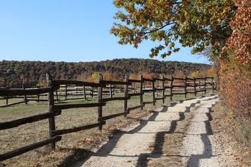 A horse farm along the road in beautiful autumn mood