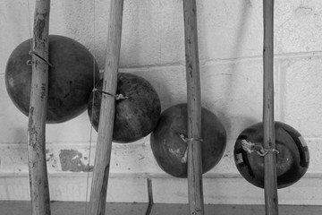 barbell in gym