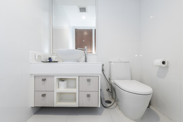 Beautiful Large Bathroom.White toilet bowl