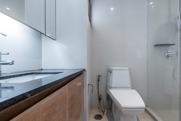  Beautiful Large Bathroom