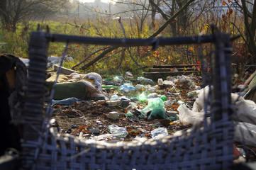 Plastic garbage in forest