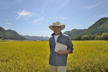 タブレットで水田を管理するシニア