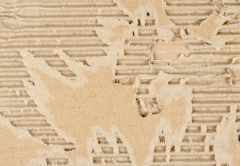 Close-up of broken piece of cardboard paper.