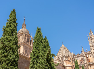 Ornate carvings and bell tower of the Old Cathedral in Salamanca