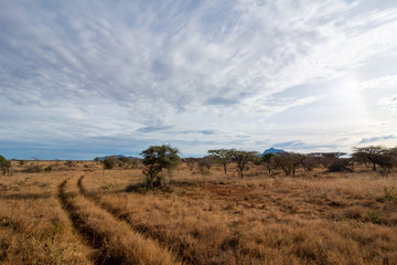 rural road heading into the bush kenya