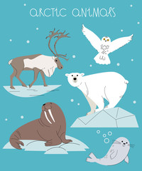 Arctic Animal Vector Set. Cute Cartoon Illustration of polar bear, walrus, reindeer, seal and snowy owl.