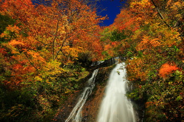 紅葉の滝