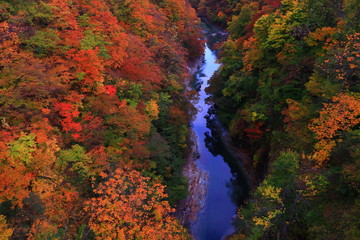 紅葉の小安峡