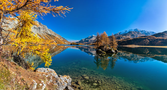 Herbst am Silser See mit seinen farbigen L&auml;rchen im Engadin in der Schweiz