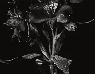 Papier Peint photo Chambre à coucher fleur sur fond noir