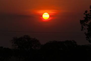 sunset in the brazilian cerrado with powerlines