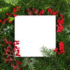 Layout made of Christmas tree branches, red berries and white paper card note frame. Mockup, flat lay. New Year winter season concept