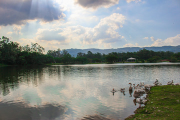 Naklejka premium Paisagem céu azul