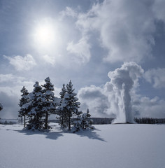 Old Faithful in winter   Yellowstone NP   Wyoming © Tom
