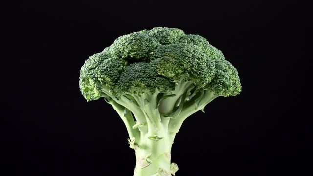 Fresh raw broccoli rotating over black background