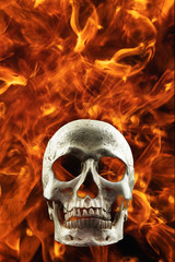 human skull in fire flame
