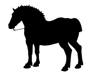  isolated hand-drawn silhouette of a black horse on a white background. powerful work horse.