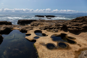 Botanical Beach, Port Renfrew, Vancouver Island, British Columbia, Canada. Beautiful View of a...