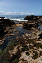 Botanical Beach, Port Renfrew, Vancouver Island, British Columbia, Canada. Beautiful View of a Rocky Beach on the Pacific Ocean Shore during a sunny summer day.