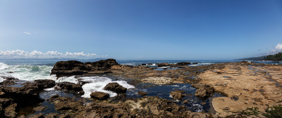 Botanical Beach, Port Renfrew, Vancouver Island, British Columbia, Canada. Beautiful Panoramic View of a Rocky Beach on the Pacific Ocean Shore during a sunny summer day.