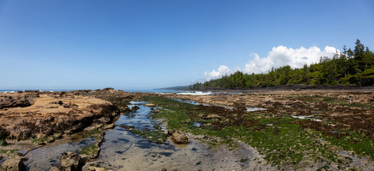 Botanical Beach, Port Renfrew, Vancouver Island, British Columbia, Canada. Beautiful Panoramic View of a Rocky Beach on the Pacific Ocean Shore during a sunny summer day.