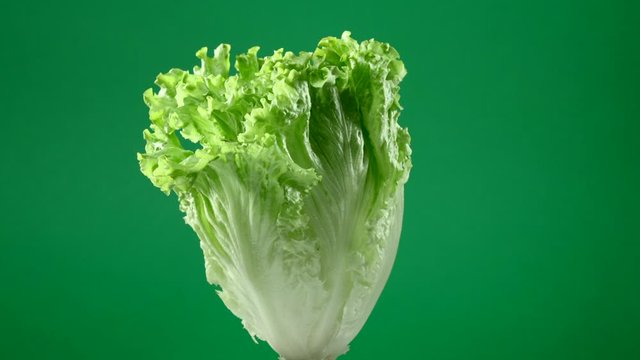 Fresh raw green lettuce rotating over green background
