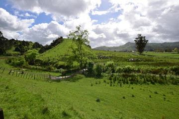 Fototapeta na wymiar A countryside landscape of North island New Zealand