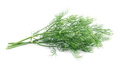 Green dill isolated on white background