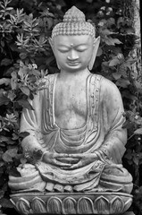 statue of buddha - 302104856