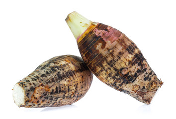 taro isolated on white background