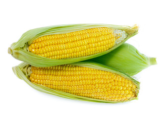 Corn on white background