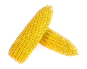 Corn on white background