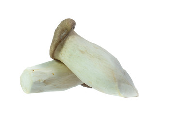 Fototapeta premium King Oyster mushrooms isolated on white background