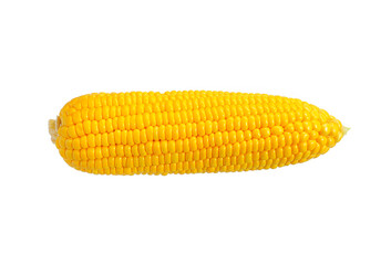 corn isolated on white background