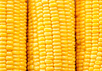 close up of yellow corn