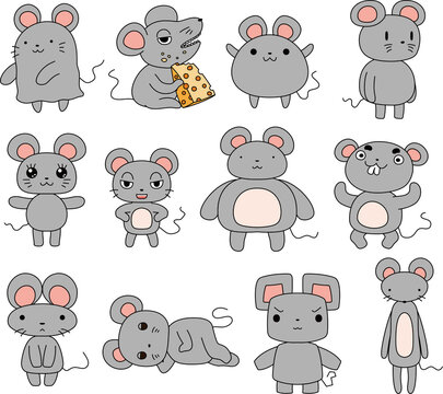 Character of various rat set