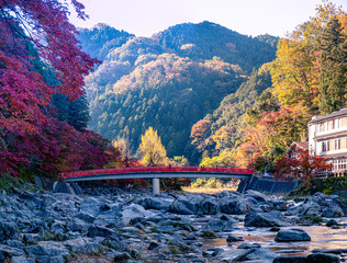 Red bridge at Korankei valley, located at Aichi, Japan, This is one of the best spots to see leaves change color in autumn season .